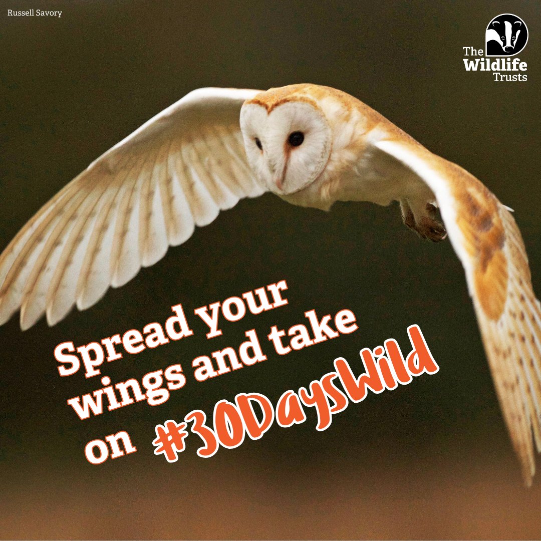 Sign up for #30DaysWild and connect to nature every day in June! 💚

You’ll get a free pack full of wild goodies AND support from a thriving community of nature-lovers. 👉 wildlifetrusts.org/30dayswild