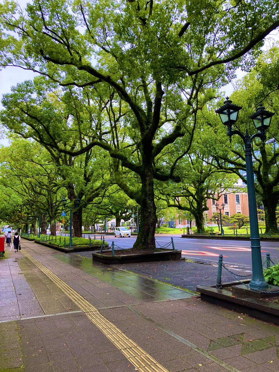 重文・宮崎県庁を見学。ん〜〜講堂が非公開なのがとっても残念。ドア開けて覗くくらいいいでしょうに。街路樹の緑が濃くて南国を感じます。陽がさしてきて、一気に暑くなった。