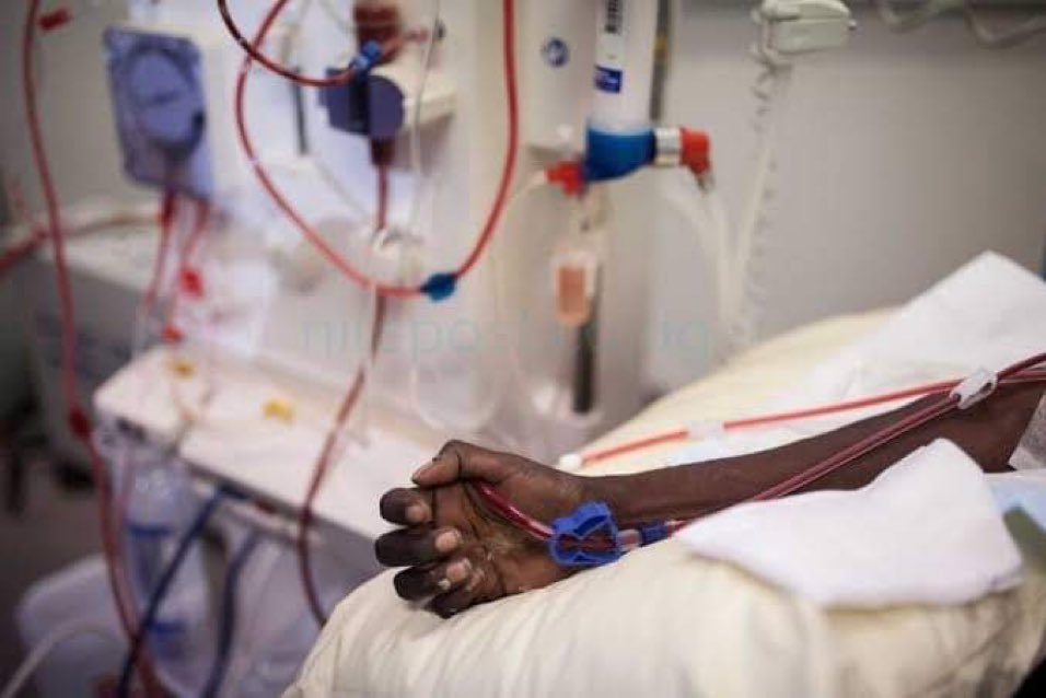 If this crosses your timeline, pls share ❤️👏 Dialysis 3/4 times in a week is not cheap and Kidney transplant isn't child’s play. You’d need more than 20 million naira for a kidney transplant 😢 only 1% of people can afford it. Prioritize your health and protect your kidneys.