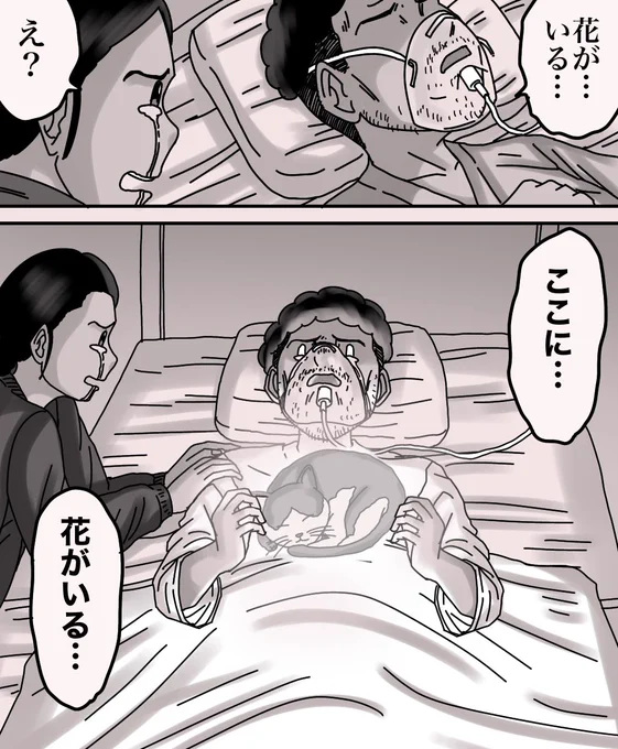 3/3 
