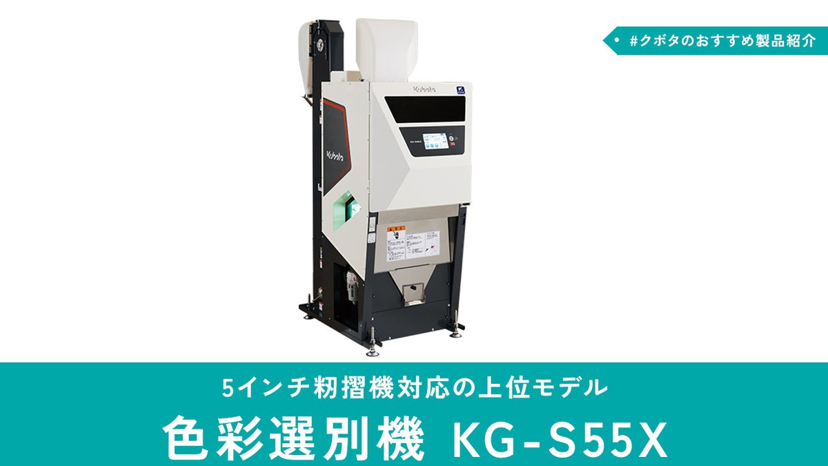 ホリダ　楊炎　超選抜株　大株 ホリダ 楊炎 超選抜株 大株