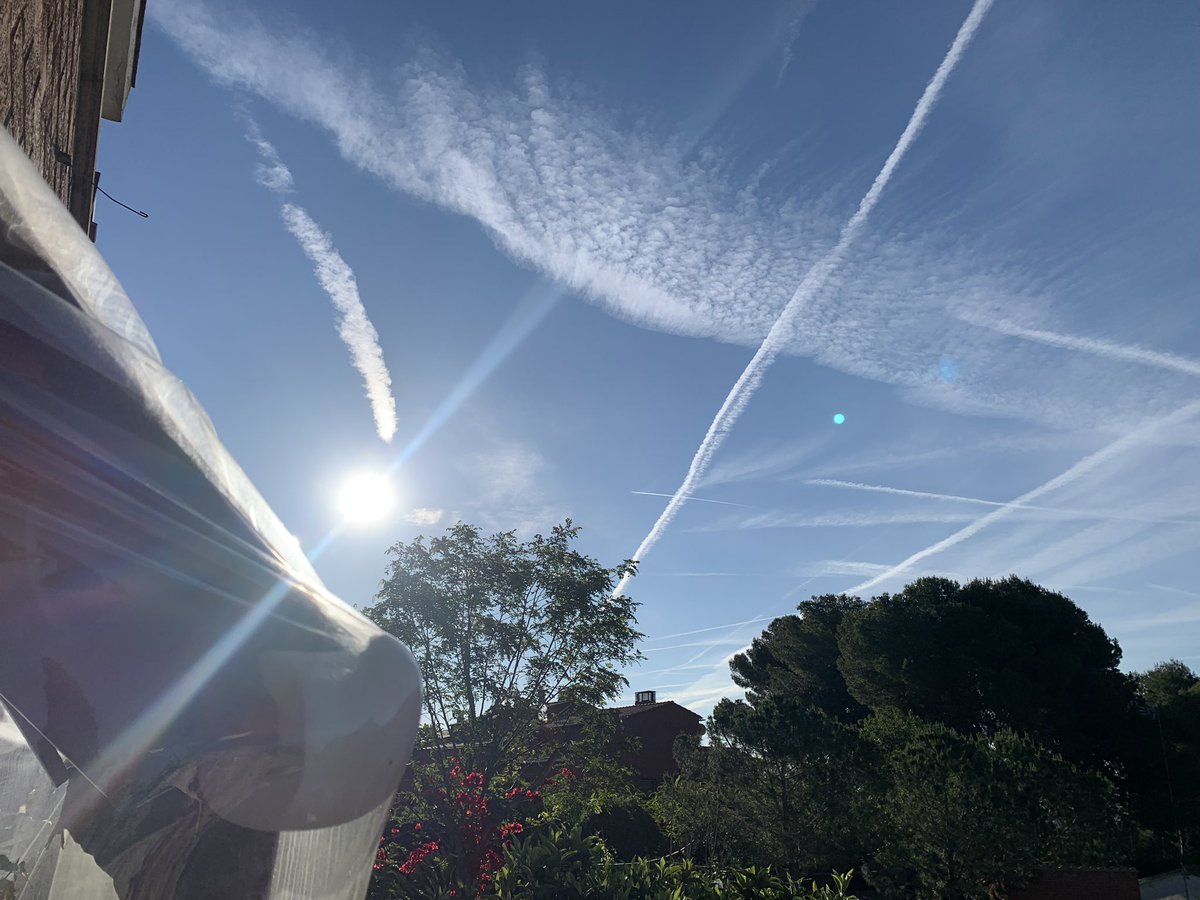 Jesús Amenos tweet media