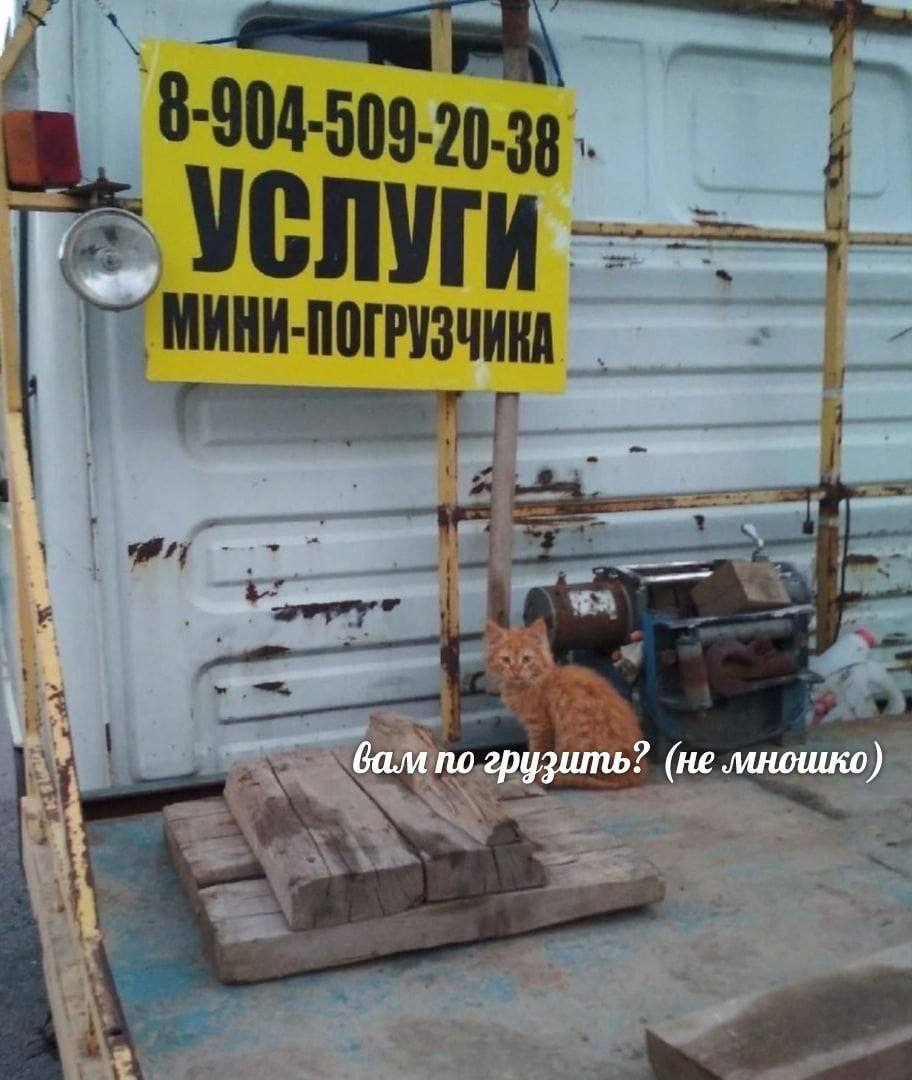 Gribanov ☢ ᓚᘏᗢ (@gribanov) on Twitter photo 