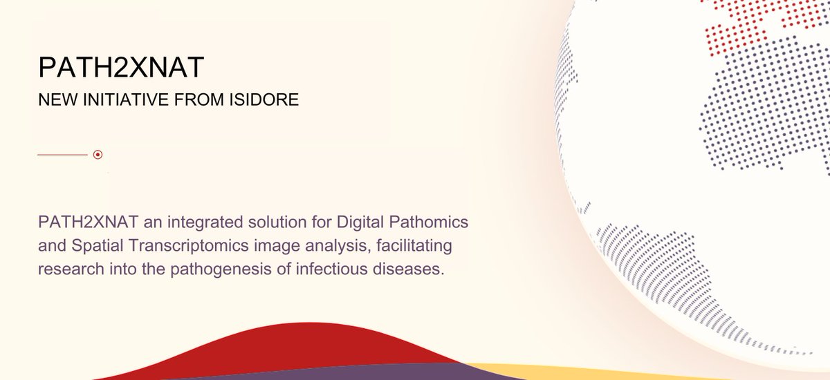 We're pleased to share the launch of @ISIDORe_eu's PATH2XNAT - a #DataManagement & analysis platform to accelerate investigations into the pathogenesis of #InfectiousDiseases. It's a collaborative effort between Euro-BioImaging, ELIXIR & EATRIS.

👉More @: eatris.eu/projects/integ…