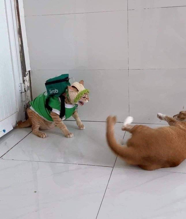 “grab delivery po mga animal! kanina pa ako nasa labas!”
