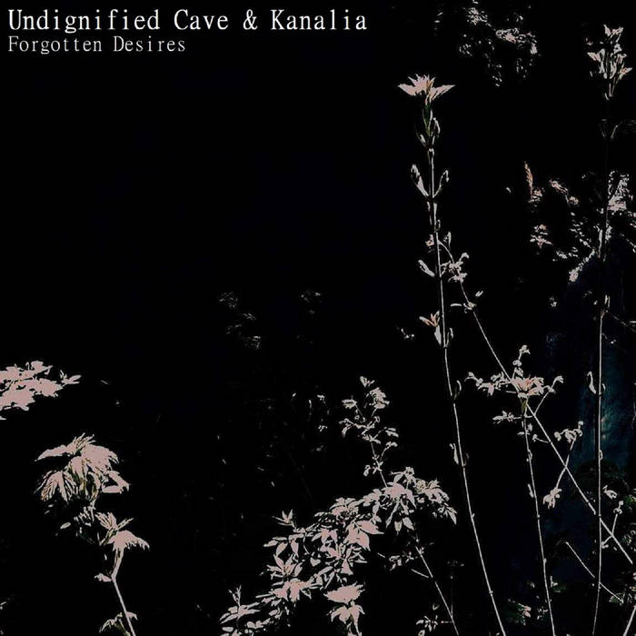 🔥PREMIERE🔥

🤘LISTEN: youtu.be/sDVak0ppyBQ?si… 🤘

Bands: Undignified Cave 🇧🇷 / Kanalia  🇵🇱
Album: Split
Release date: 2024.05.25
Genre: Doom Metal/Drone/Sludge

#undignifiedcave #canalia #doommetal #drone #sludge #polishmetal #metalmusic #polishsludge #polishdoommetal