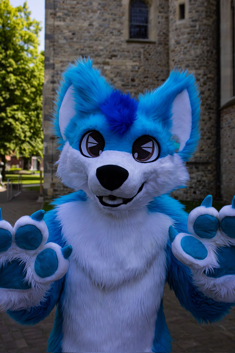 Whiro_Furry's tweet photo. Buhhh !!!
Hope I didn't scare you too much 🤭

📸: @JUSTIN___LP https://t.co/74FEYLew40