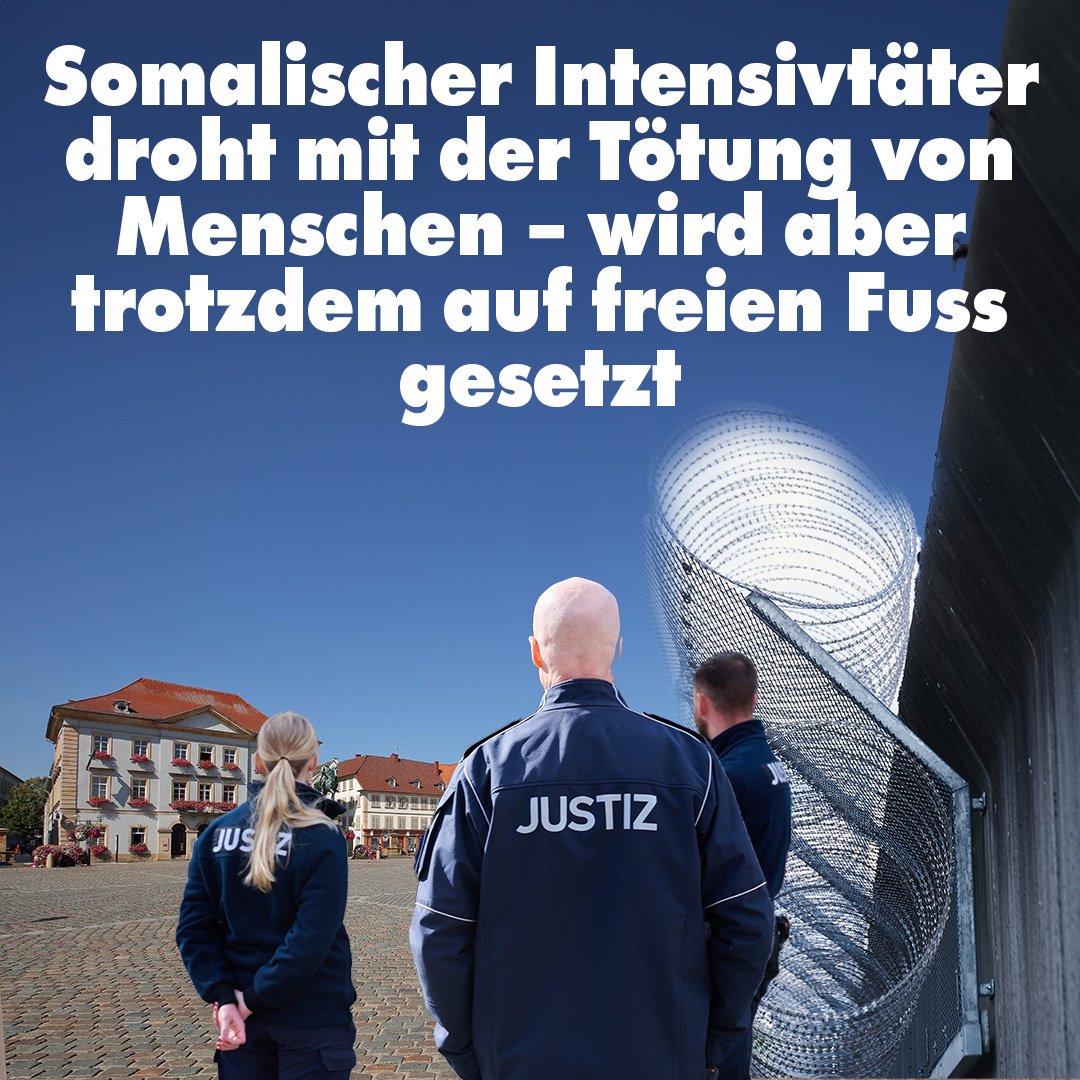 Es ist ein Fall, der das Scheitern der deutschen Migrationspolitik auf geradezu groteske Art und Weise zeigt: Ein 35-jähriger somalischer Intensivtäter aus Landau, seit 2014 in Deutschland und abgelehnt, vorbestraft wegen Nötigung, Einbruch, Diebstahl, Hausfriedensbruch,