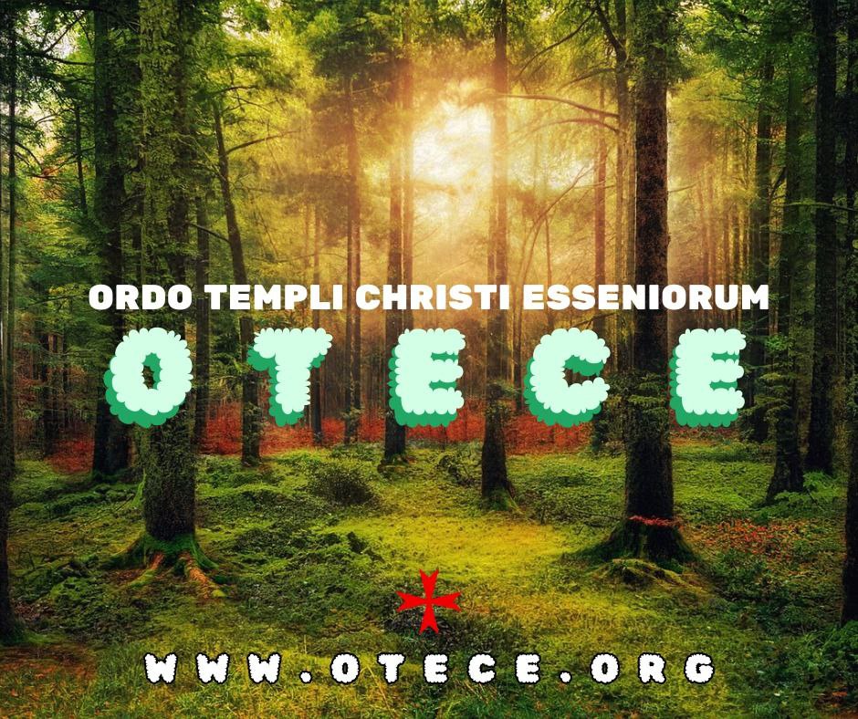 ORDO TEMPLI CHRISTI ESSENIORUM

Let us work together to protect #nature .
Only through collaboration can we effectively address global environmental challenges and protect our 🌍for generations to come. Join our #prayers,become a Guardian,we are waiting for you!🙏❤🌍

#OTECE