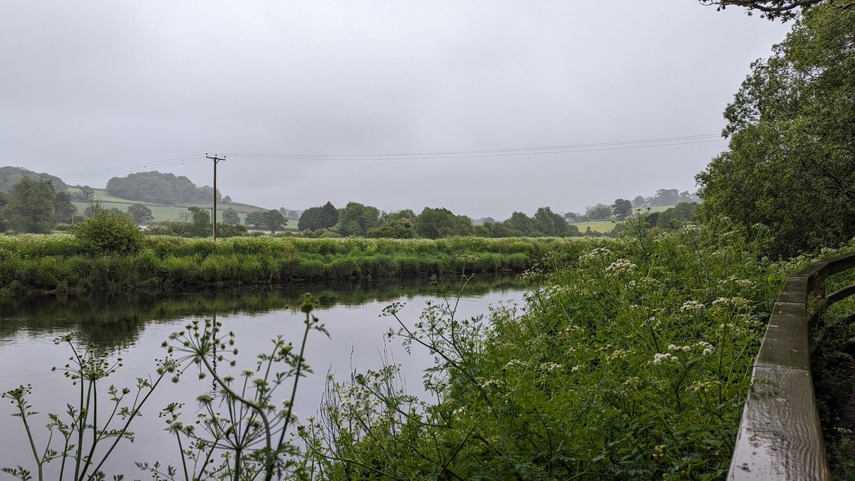 Still a beautiful #BlueMind view
#Day3 #100daysofBlue