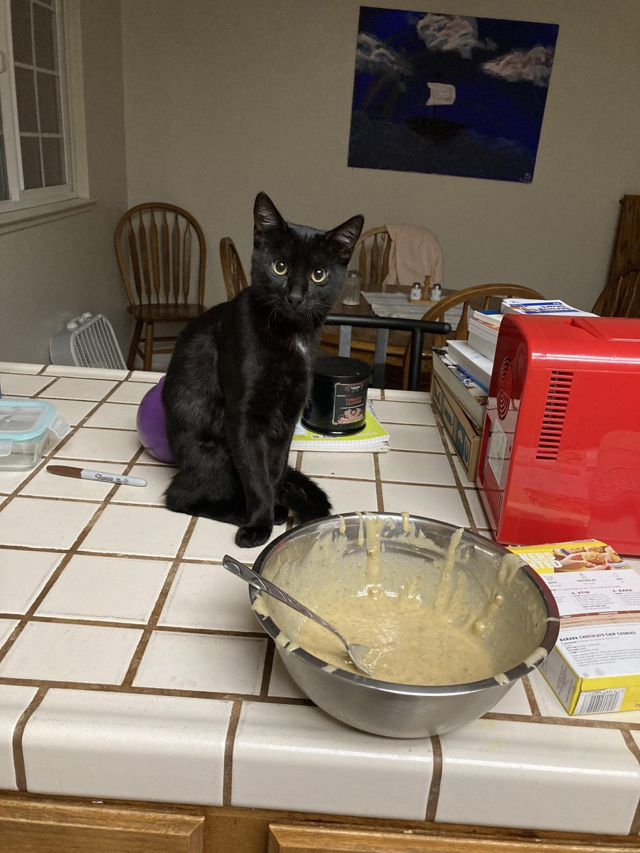 endless_poor's tweet image. What if I told u @FoundersSOL are getting a ME listing bot