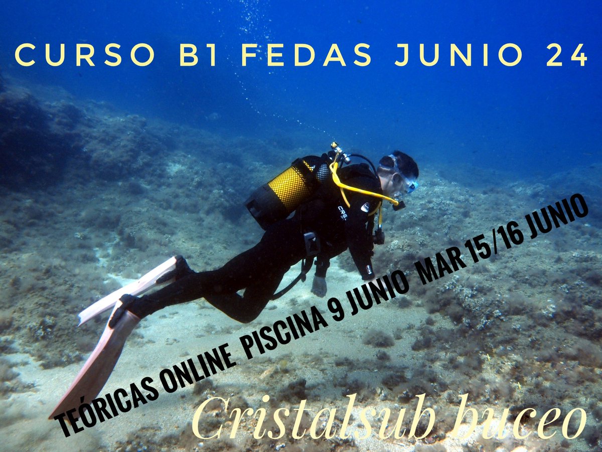 No esperes más!! Puedes hacer el curso de iniciación al buceo en este mes de junio.
Teóricas online. Sesión de piscina, aguas confinadas domingo 9 de junio.
Aguas abiertas, salida al mar, fin de semana 15 y 16 de junio o nueva fecha en julio.
Ponte en contacto con nosotros 👌