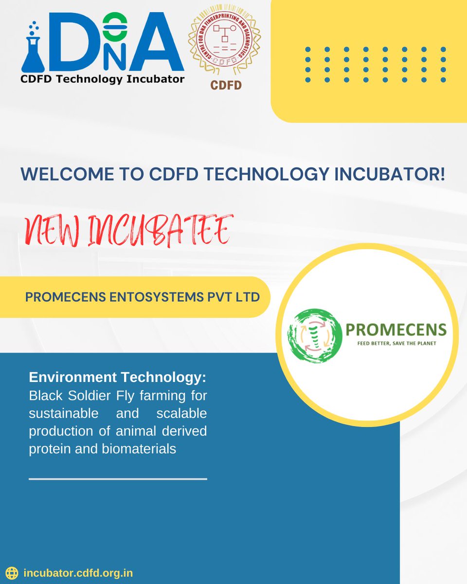 incubator_cdfd's tweet photo. Welcoming @promecens14455 to @incubator_cdfd!
#Promecens is a startup in the environmental sustainability sector, demonstrating expertise in the ecofriendly cultivation of black soldier fly larvae for diverse applications, including animal-derived protein & biomaterials. https://t.co/wDOH6EXXHe