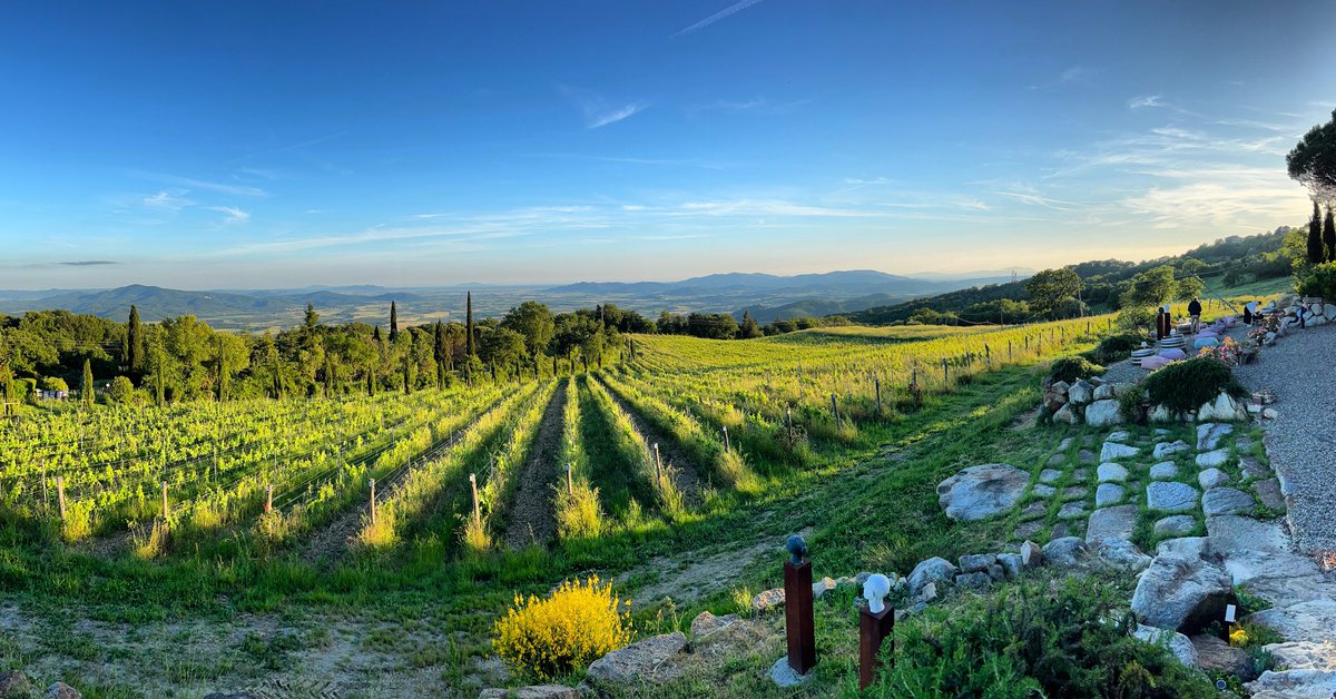 BEAUTIFUL MAY #breathtakingviews #valdonica #valdonicarestaurant #maremma #toscana #naturalwines #naturalwinelover #vinummagazin  #winetour #tuscany #visittuscany #vermentino #sangiovese #wineenthusiast #winetravel #robertparker #docmaremmatoscana #thestoryofmywine #sassofortino