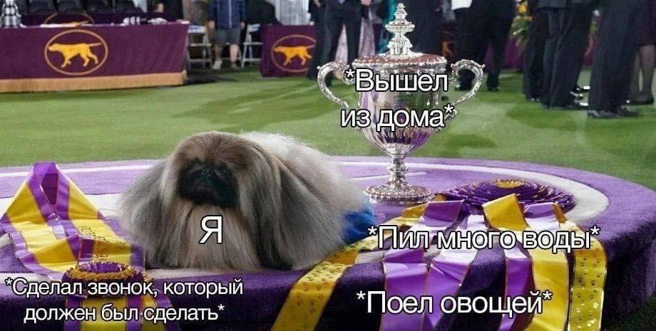 Не забывайте хвалить себя за то, что вы сделали. Даже если вы не всё успели или не всё получилось так, как вы хотели.

Это помогает чувствовать себя лучше и даёт силы, чтобы делать что-то ещё