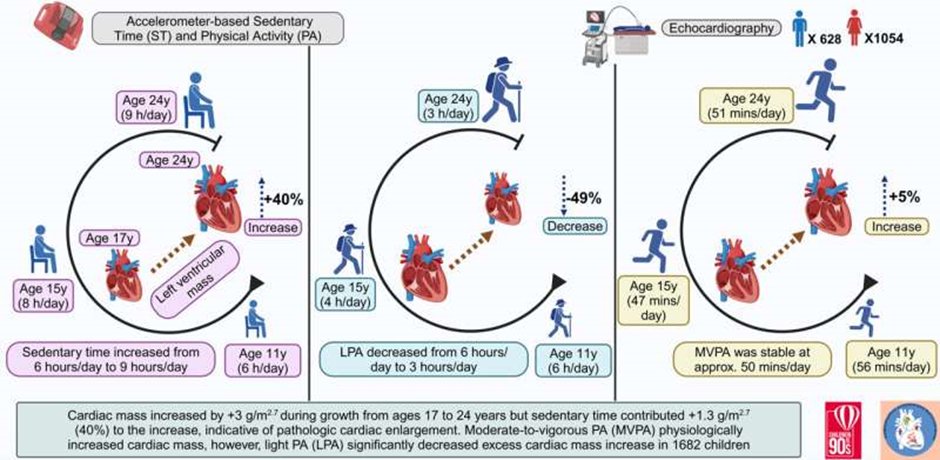 A lack of movement in children (sedentary behaviour) is linked to premature heart damage, but just a bit of light movement can reverse the risk:

- The regular movement of 1682 children was studied from age 11 up until they were 24.

- An increase in time spent not moving from