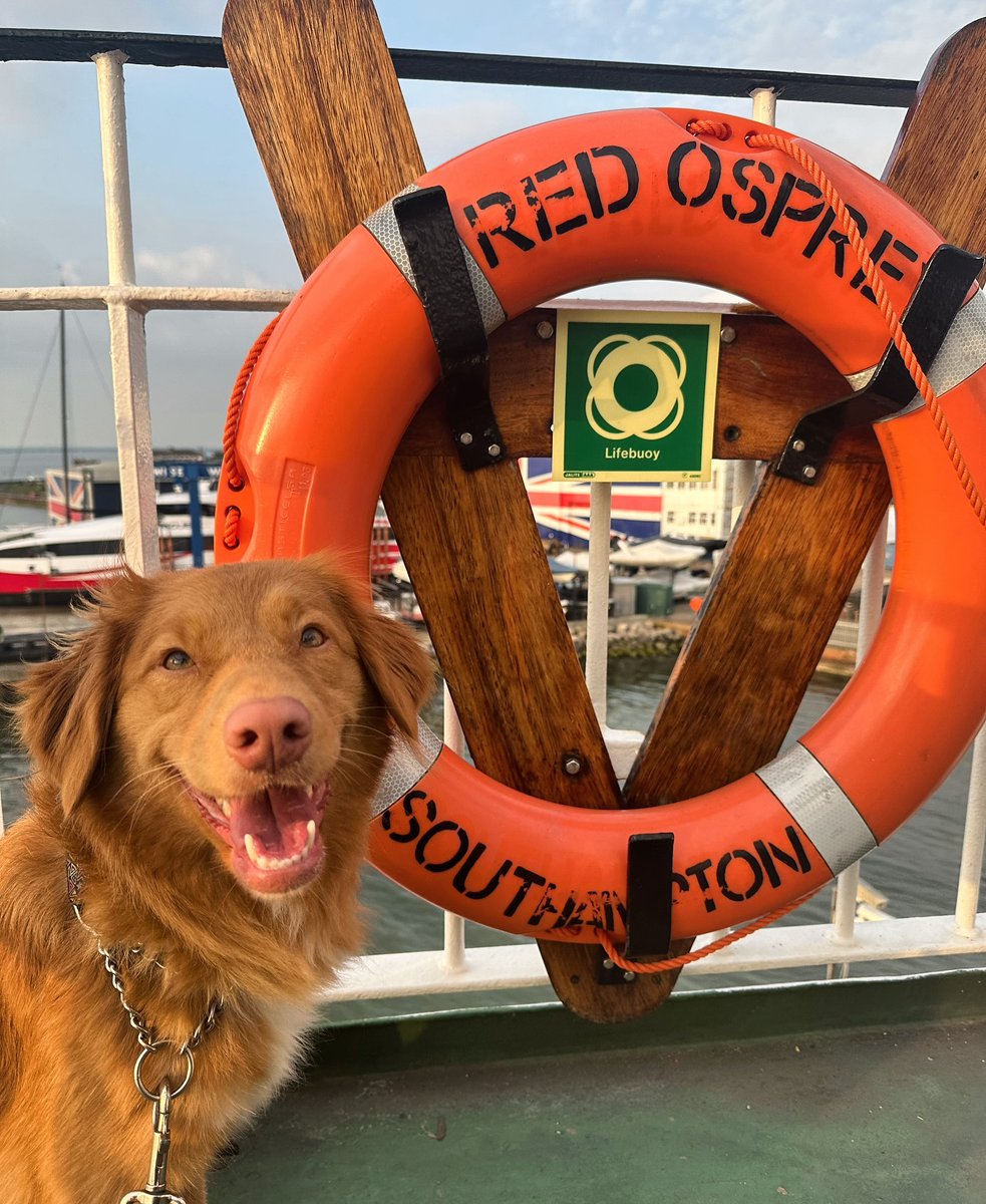 'Elsie had the best time on her first-ever ferry trip and all the crew onboard were super lovely.'💜🐾🚢

Thank you, keakoagundogs!😍

We love seeing photos of your furry friends spending time onboard our ferries - don't forget to tag us in your snaps!📸

#IsleofWoof #RedFunnel