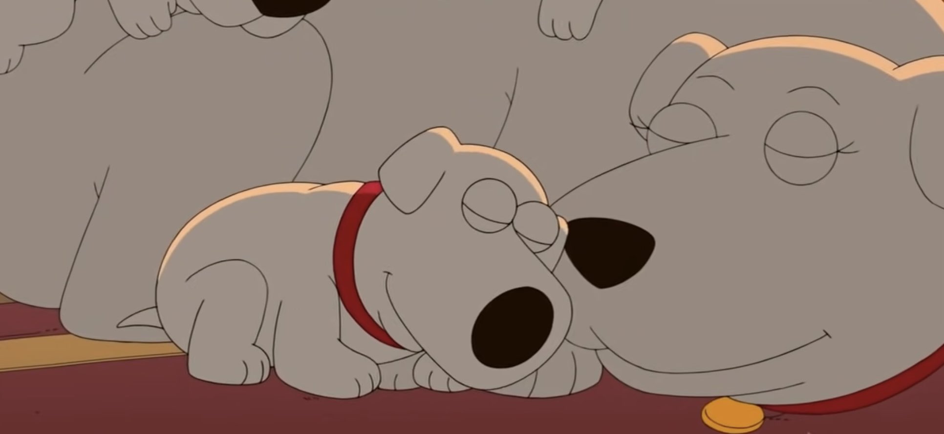 Brian Griffin / Mother Georgia コムデギャルソン 4296896005.jpg
