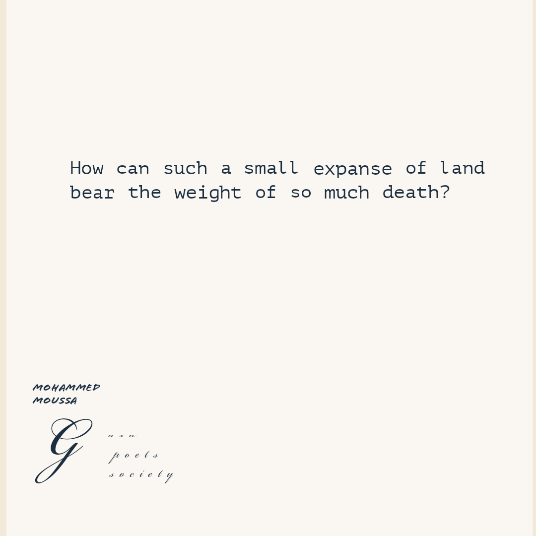 Gaza Poets Society (@poetsgaza) on Twitter photo 