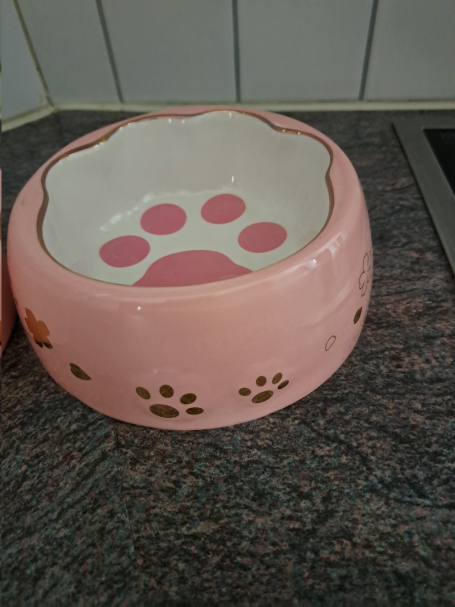 GassiMitRoxy's tweet image. #new #näpfe #foodtime #bowls #katzen #pink #pfoten #paws