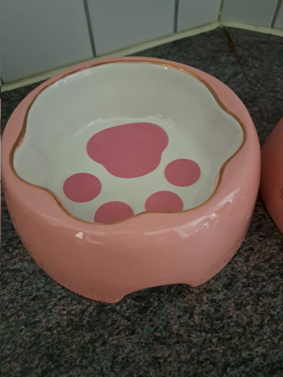 GassiMitRoxy's tweet image. #new #näpfe #foodtime #bowls #katzen #pink #pfoten #paws