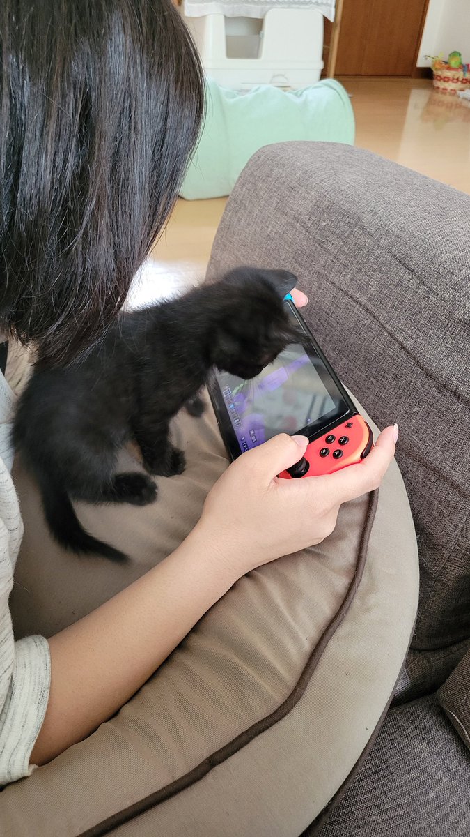 ✻カグ茶 to 諭吉✻ tweet media