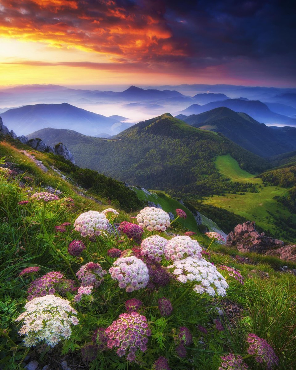 Mala Fatra offers stunning #views with rugged peaks and lush valleys, making it a must-visit for #nature lovers.🌺 #ThisIsSlovakia Photo: Boris Michaliček #slovakia #visitslovakia #traveltips #hike