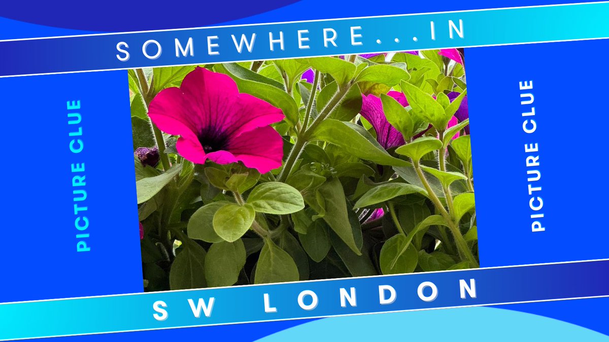 Our very own EMILY CONNELL is 'hiding' out 'Somewhere In SW London' Can YOU guess where...from the Picture Clue? Let us know. STAY TUNED to Riverside Breakfast with @jasonrosam & @batterseapwrstn ...for even MORE CLUES! #SomewhereInSWLondon #SWLondon #SouthWestLondon