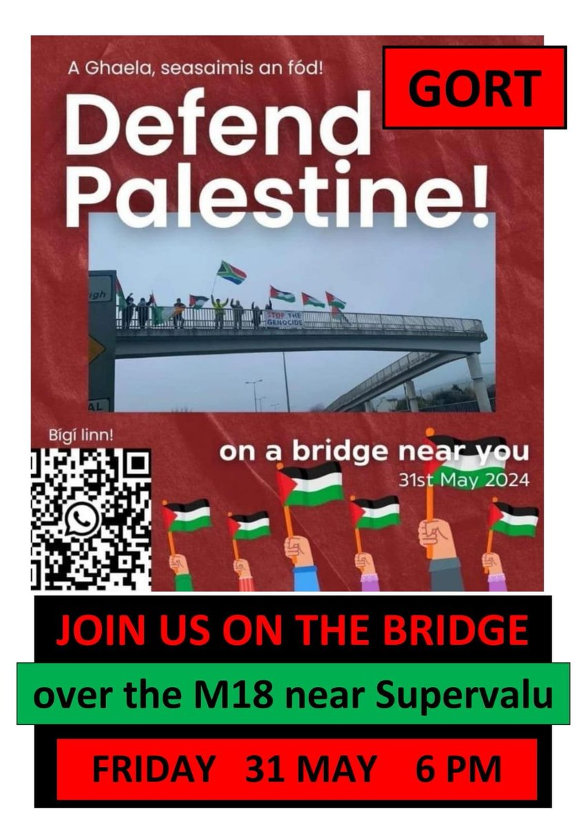 Gort this Friday. Join us, or organise an event on a motorway bridge near you!