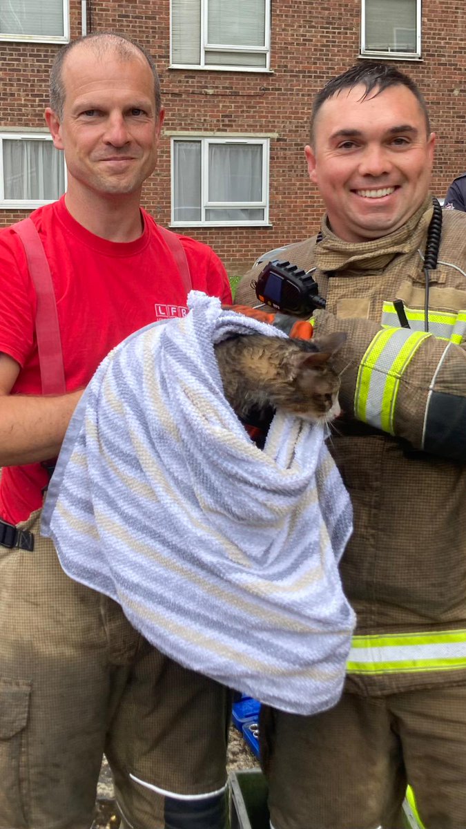 This is Peroni. Peroni got stuck under a car while looking for somewhere warm and dry to sleep. Thankfully, she was rescued by Sutton and Croydon Red Watch. If you're a driver, watch out for cats like Peroni!
