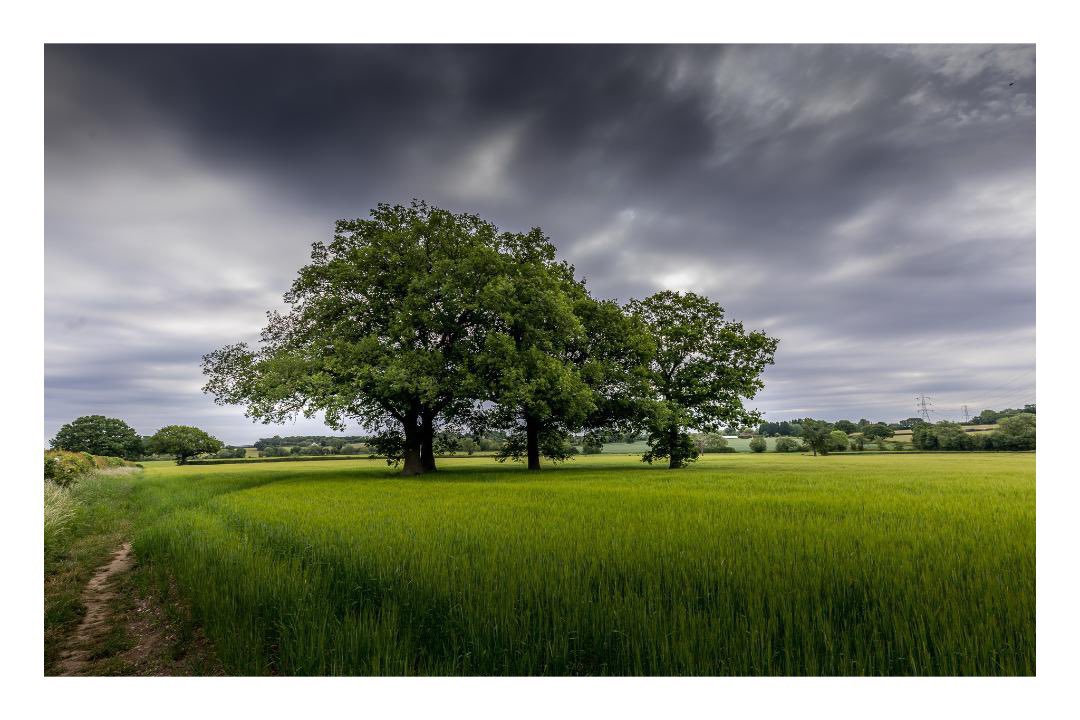 SolihullUpdates's tweet photo. Good Morning #Solihull
On #Tuesday there will be a cloudy start with rain and drizzle. Becoming drier and brighter with sunny spells this afternoon. Light to moderate winds. Highs of 18°C & Lows of 11°C
(Image: #Barston - @No1GhostDog). https://t.co/dZgS3UK2M9