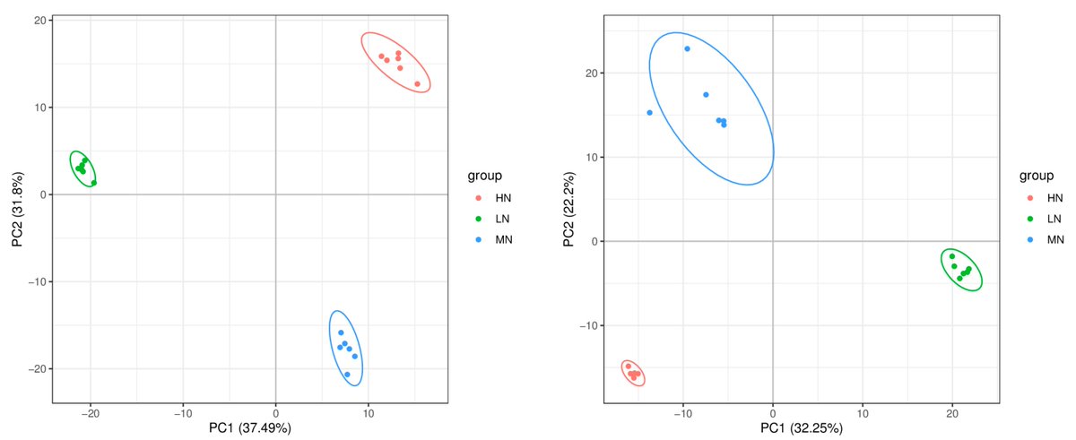 Effects of Different Carbon and Nitrogen Ratios on Yield, Nutritional Value, and Amino Acid Contents of Flammulina velutipes mdpi.com/2780054 #mdpilife via @Life_MDPI