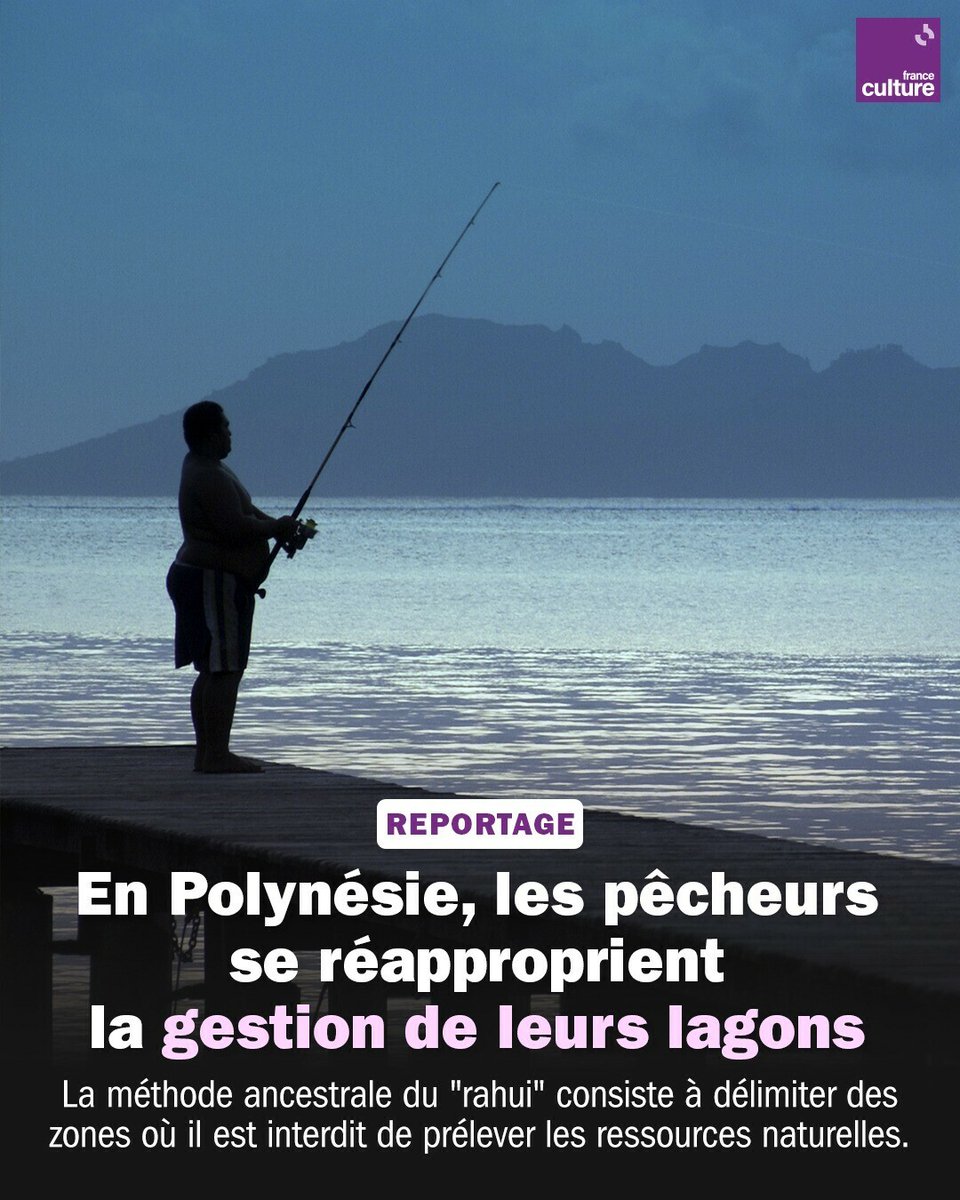 Alors que la pêche est l'une des principales activités de l'archipel, les habitants se mobilisent pour protéger les espèces marines. ➡️ l.franceculture.fr/40D