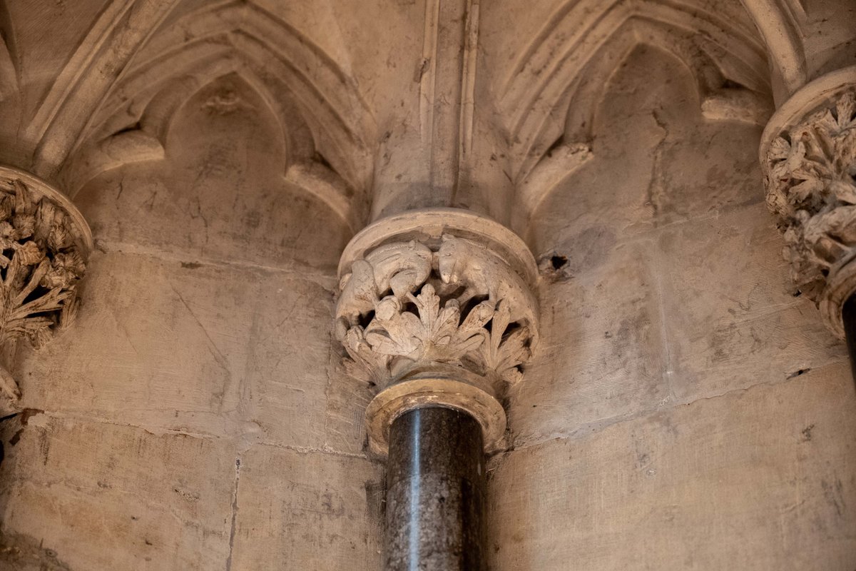 #DidYouKnow that our face-pullers are not the only curiosities you can find in our chapter house? Amongst the carved foliage all sorts of marvellous creatures can be spotted, including cats, dragons, and even unicorns! What will you discover on your next visit?