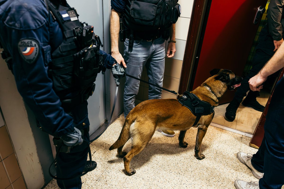 👊 Opération #PlaceNette | A #Nanterre et #Malakoff, 11 interpellations pour trafic de stupéfiants ont été effectuées hier matin.
Saisie de : 9 kg de cannabis, 13000 euros, 1 arme de poing
❌ Contre les trafics, impunité 0, mobilisation 100%