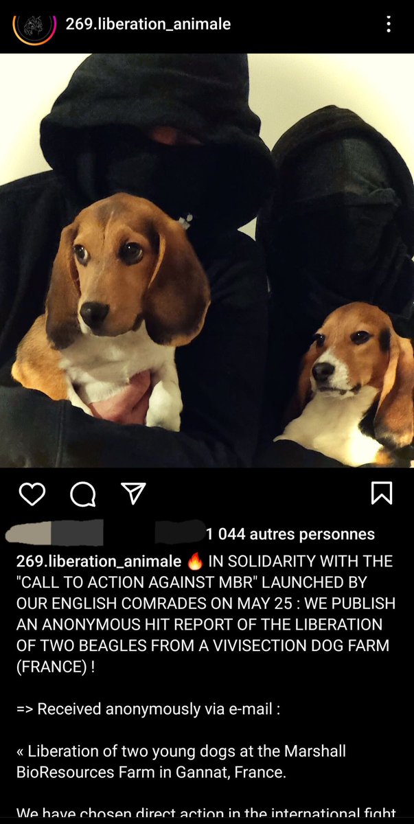 ‼️Nous venons d'apprendre que 2 jeunes beagles ont été libéré de l'élevage MBR de Gannat par des militants

Nous savons à quel point il est difficile de pénétrer dans cet endroit tellement il est surveillé. 
Bravo à eux pour leur courage.
2 vies qui ne seront pas livrées au labo