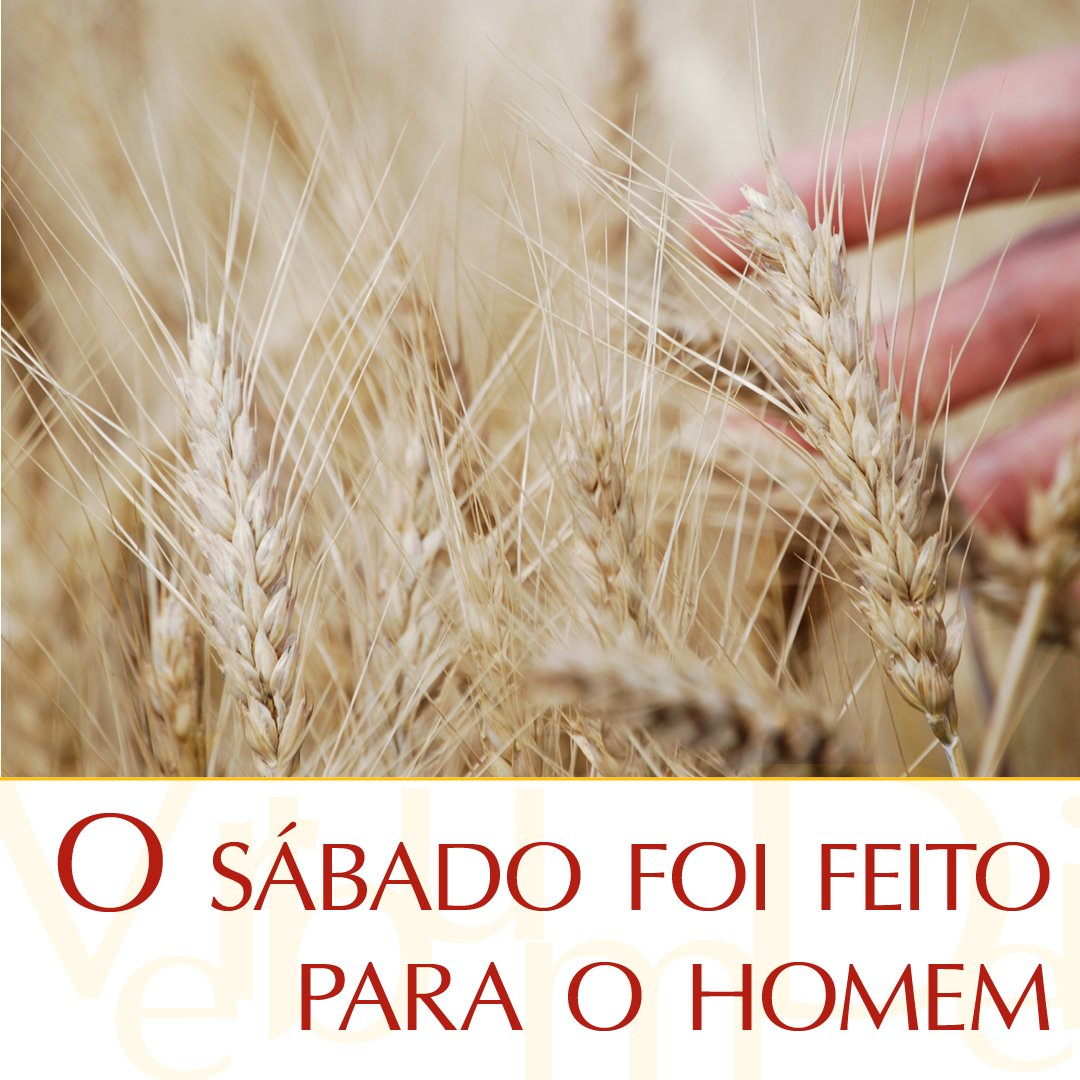 vaticannews_pt's tweet photo. "O sábado foi feito para o homem, e não o homem para o sábado. Portanto, o Filho do Homem é senhor também do sábado".

#EvangelhodeHoje  Mc 2,23-3,6
https://t.co/p5WOzSjmdA https://t.co/PIjut1SFTB