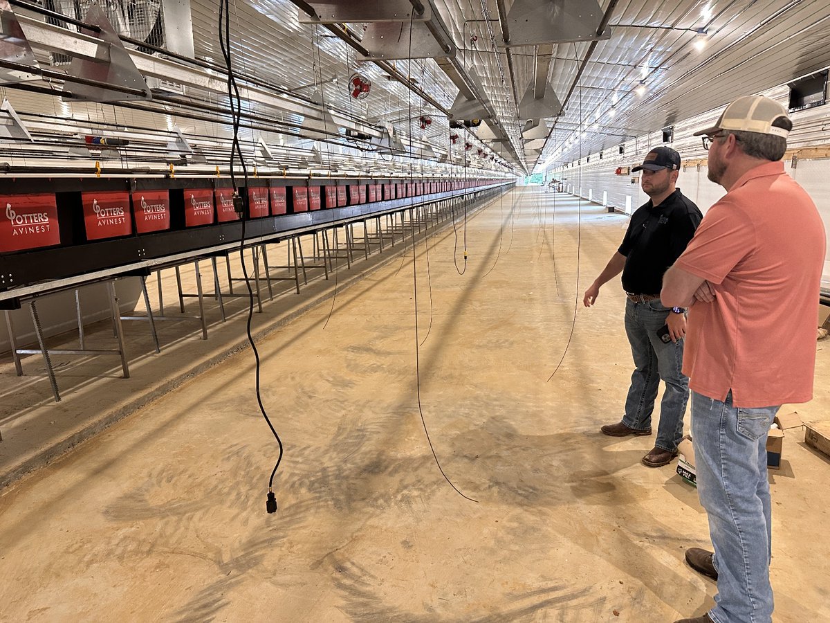 Potters Poultry tweet media