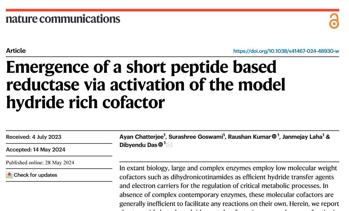 Just online @NatureComms cationic peptide nanotubes can bind weak hydride transfer agents to facilitate efficient reduction of esters in water!   Grateful to Swarnajayanti Grant, @serbonline , CSIR & @iiserkol  rdcu.be/dJbwI #systemschem #enzymemimics