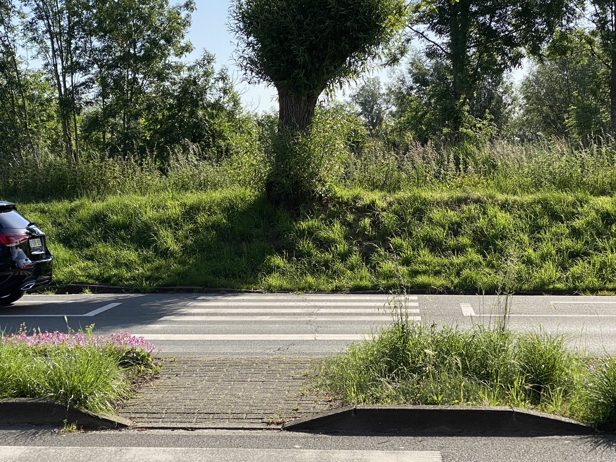 De Munck Michel 👶👶👶👶🇧🇪🐝🇪🇺😻🐶💙🤍🌈 tweet media