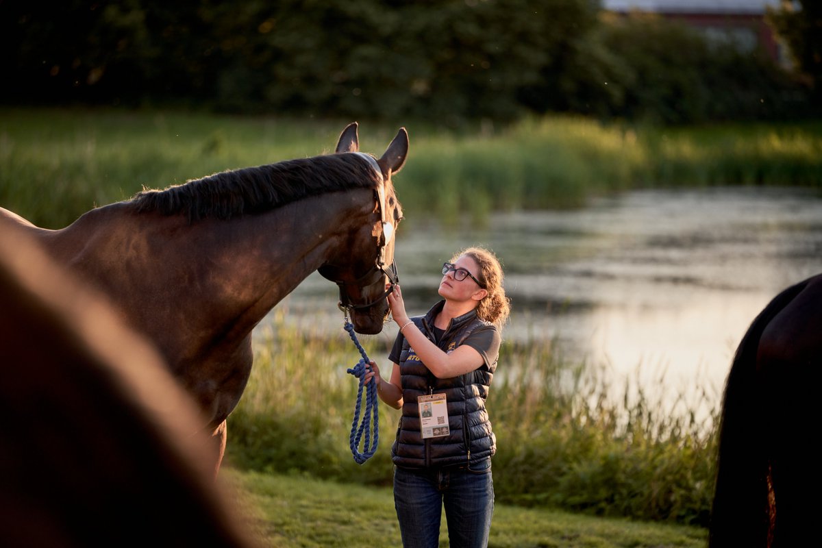 FEI_Global's tweet photo. Are you prepared for extreme weather? 🐴🌪️
From hurricanes to heatwaves and fires to floods, it's important to keep our four-legged friends safe and sound no matter what! 💪
Take a look at our top tips 👉 https://t.co/ibu9ITWVpN
📸 ©FEI /Liz Gregg
#TuesdayTopTip #EquineSafety https://t.co/mZ4m8c6HsN