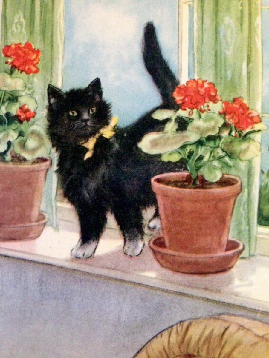 Ladybird book in the spotlight. 
‘Tiptoes the Mischievous Kitten’
Artist: PB Hickling