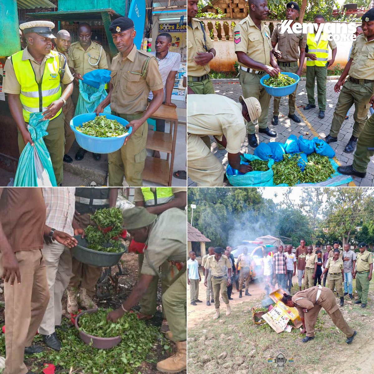 Kenyans's tweet photo. Kilifi County askaris seize and burn muguka, arrest traders in operation to implement ban of muguka in the county https://t.co/DxJrBS1qee