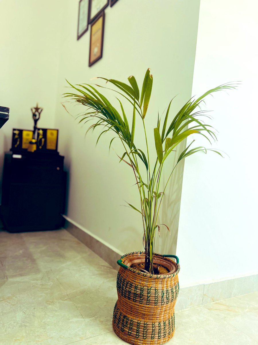 Having green plants at the workplace reduces stress, increases productivity & adds to its aesthetics & creativity. Beautiful planter crafted by SHG Women of district Udhampur using Pine needles thereby saving the environment & making variety of other Eco friendly products #umeed