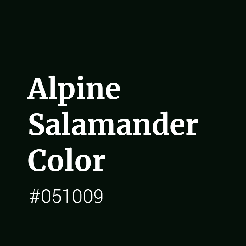 Alpine Salamander color #051009 A Warm Color with Green hue! 
 Tag your work with #crispedge 
 crispedge.com/color/051009/ 
 #WarmColor #WarmGreenColor #Green #Greencolor #AlpineSalamander #Alpine #Salamander #color #colorful #colorlove #colorname #colorinspiration