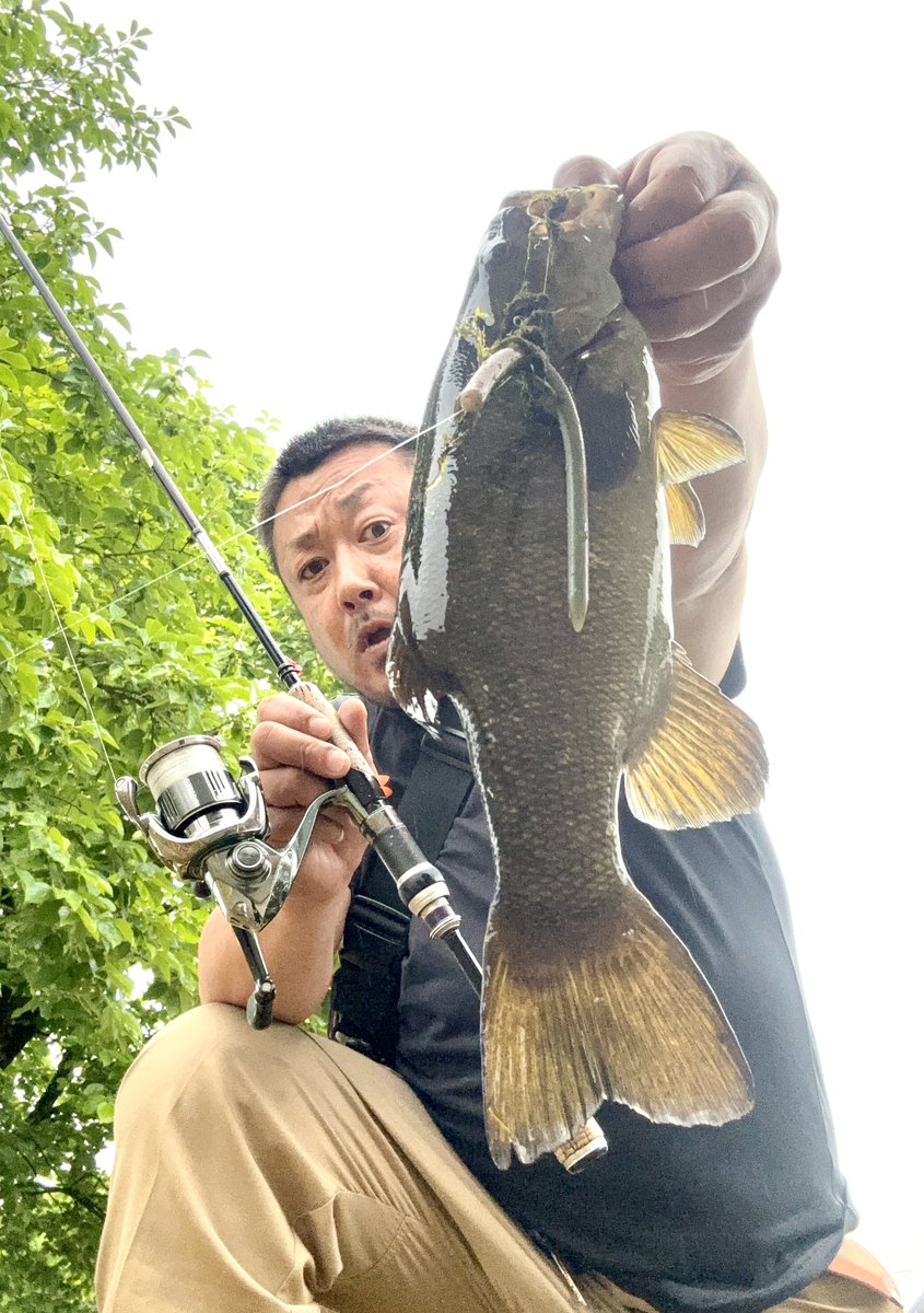 genkitogattaono's tweet photo. 【釣り人あるある】
大雨予報で魚より自分の方が活性上がってしまう☔️

実際、この魚を手にするまで相当手こずりました💦

#川スモール #スモールマウスバス
#今シーズン42匹目

41匹目はYouTubeのショート動画にUPしました▶️

https://t.co/pEBgXZVcSe https://t.co/T0dmXRwD35