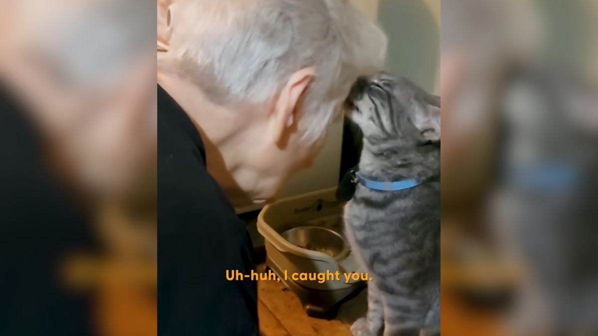Grandma and Cat’s Love-Hate Relationship Is Both Wholesome And Hilarious, Watch!: Every cat owner can relate to the […] 

The post Grandma and Cat’s Love-Hate Relationship Is Both Wholesome And Hilarious, Watch! appeared first on InspireMore. dlvr.it/T7V1QN