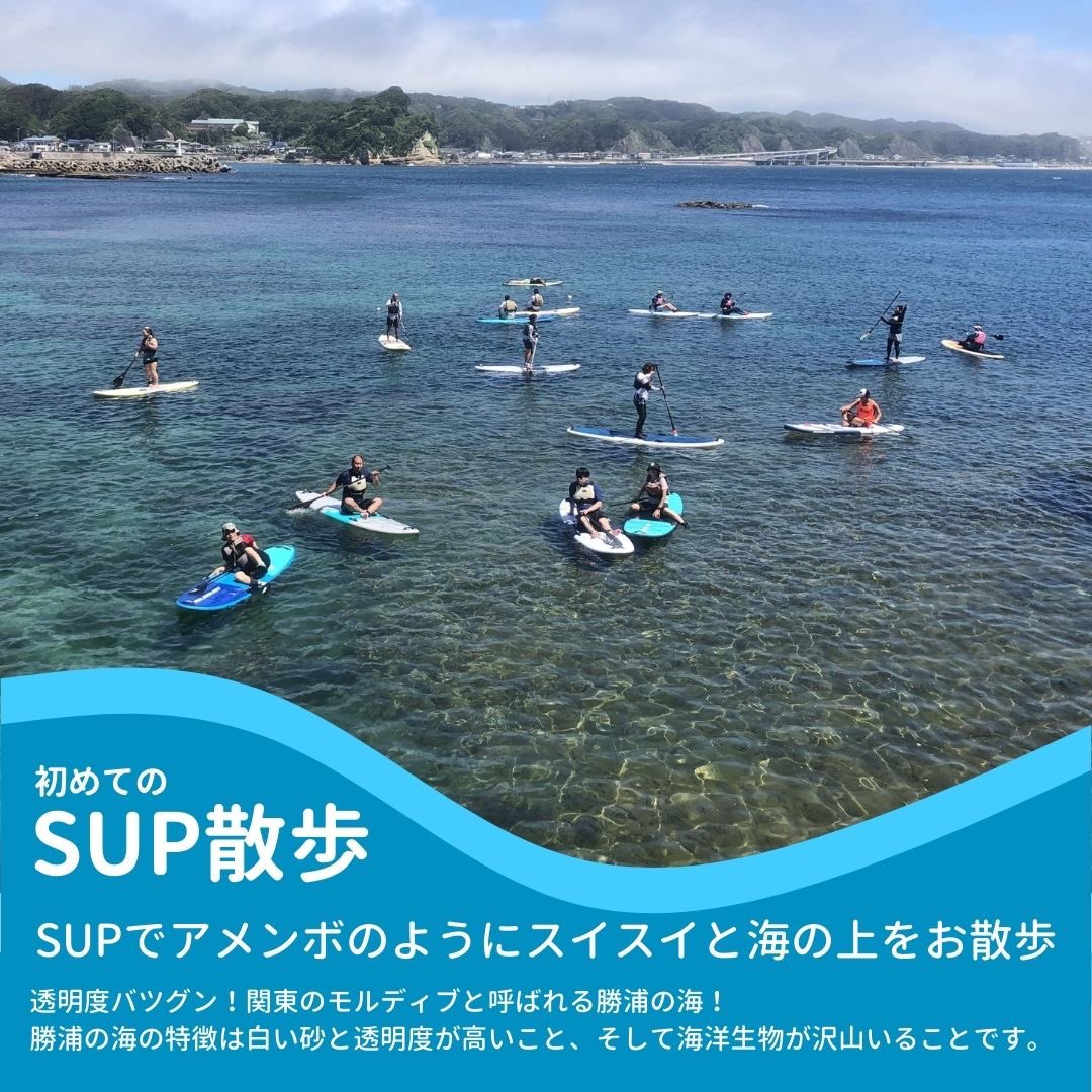 サーファー皆様
今年の初物が迫ってきてます。
プチサーフトリップでマリブへ！
マリブポイントからマリブまでは150歩で行けます。
現在直接予約のみ「勝浦ハッピーキャンペーン」が対象となり、お一人様1000円分の宿泊割引クーポン＋1000円分買い物クーポンがプレゼント🎁
<a href="/PointMalibu/">MALIBU POINT</a>