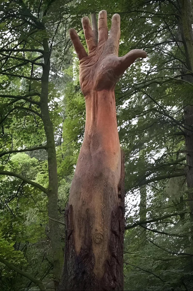 #LakeVyrnwy - #Wales - tallest tree (124-year-old Douglas Fir) got damaged by a storm, chainsaw artist Simon O'Rourke transformed the remnants into a  carving of a giant hand to symbolize the tree’s last attempt to reach the sky. #LifeLessons #Tree #naturescenery #NatureMagic