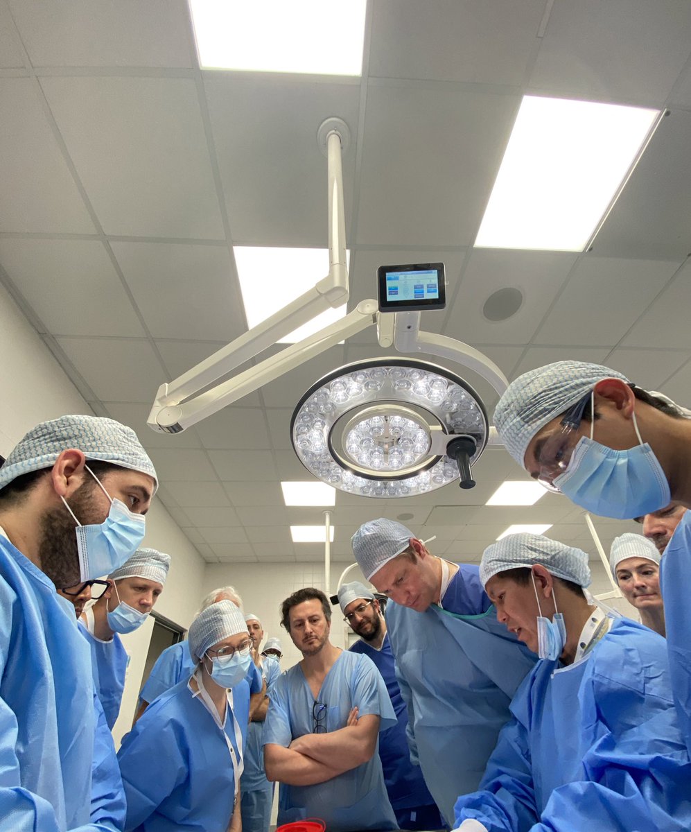 David Chen has the attention of the group during dissections in the EHS Intermediate Cadaveric Hernia Masterclass. 

No need to be jealous, we have 4 more courses this year that you can attend!

#HerniaCourse #HerniaSurgery #AWSurgery #HerniaFriends #IamEHS #EHS2024Prague